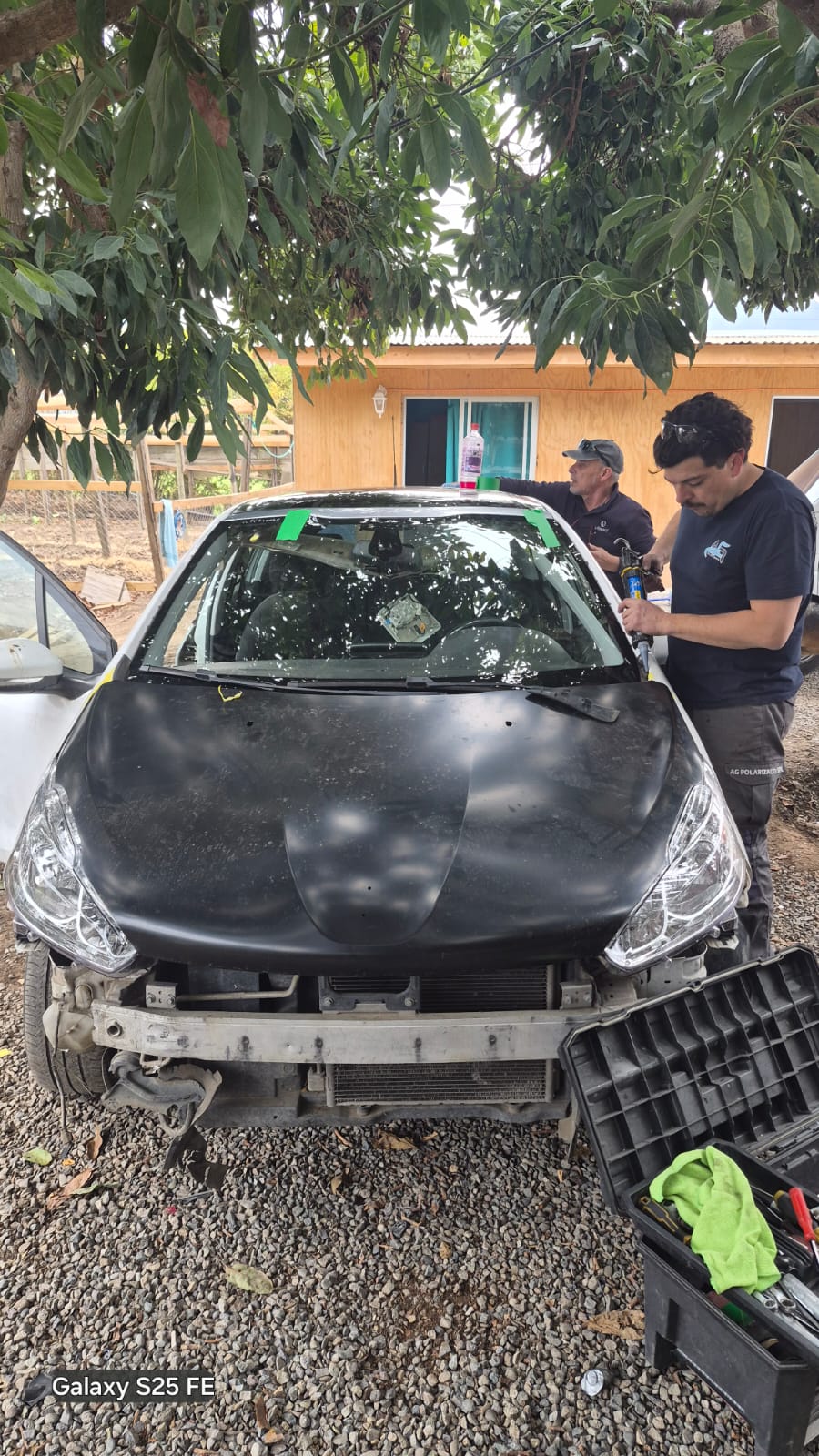 Protección para Mercedes-Benz